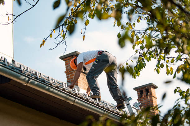 Best Slate Roofing Contractor  in Colonial Beach, VA