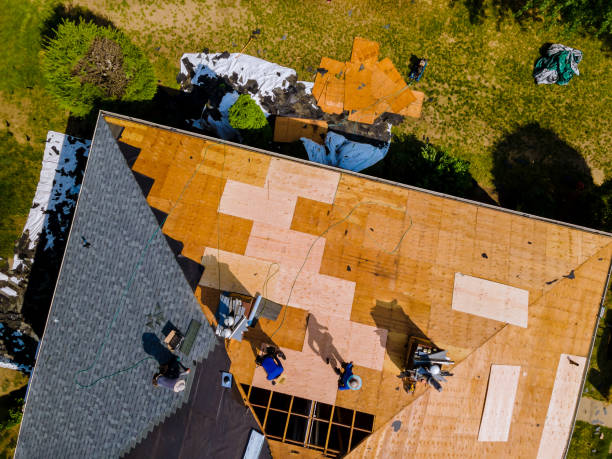 Best Roof Gutter Cleaning  in Colonial Beach, VA